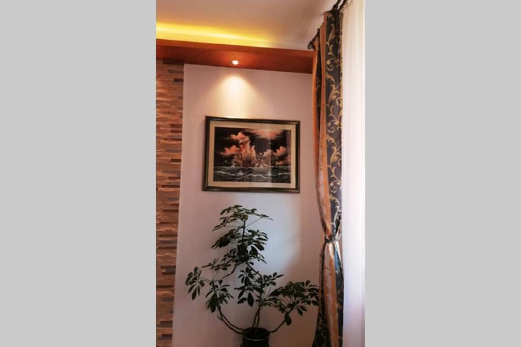Oasis Felix Apartment Belgrade Exterior photo